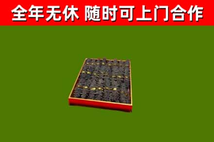 樟树回收海参